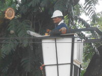 DSCN0778.JPG