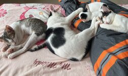 IMG_9708.jpeg