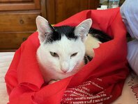 IMG_9318.jpeg