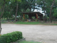 DSCN0782.JPG