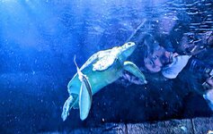 PXL_20250706_114248656~4.jpg
