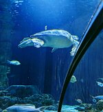 PXL_20250706_114240414.MP~4.jpg