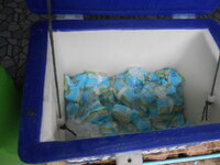 DSCN0794.JPG