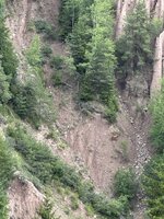 IMG_7218.jpeg