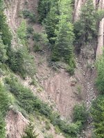 IMG_7217.jpeg