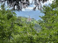 IMG_7244.jpeg