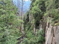 IMG_7242.jpeg
