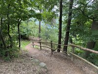 IMG_7238.jpeg