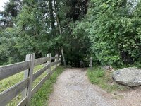 IMG_7237.jpeg