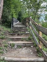IMG_7234.jpeg