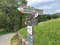 IMG_7236.jpeg