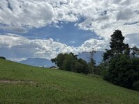 IMG_7235.jpeg