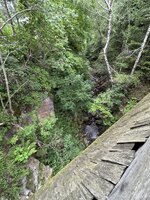 IMG_7233.jpeg