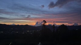 IMG_3236.jpeg