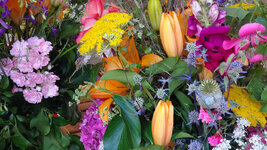 flower.jpg