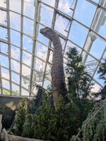 PXL_20250701_015106715~2.jpg