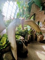 PXL_20250701_020133991~2.jpg