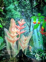 PXL_20250701_020754957.MP~2.jpg