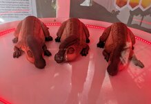 PXL_20250701_020216013~2.jpg