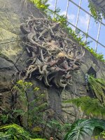 PXL_20250701_022629817~2.jpg
