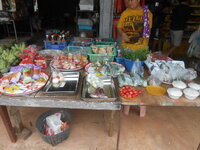 DSCN0487.JPG