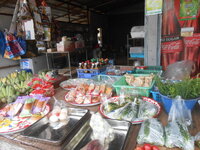 DSCN0489.JPG
