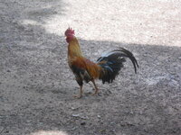 DSCN0838.JPG