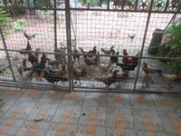 DSCN0628.JPG