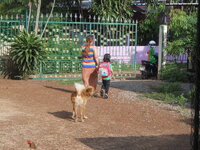 DSCN0835.JPG