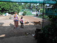 DSCN0834.JPG