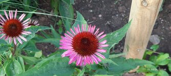 20250710_194803.jpg