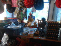 DSCN0870.JPG