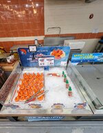PXL_20250711_031932592~2.jpg