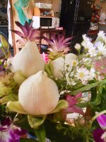 DSCN0773~3.JPG