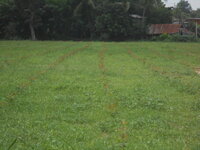 DSCN0879.JPG