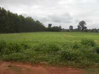 DSCN0877.JPG