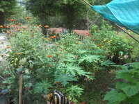 DSCN0883.JPG