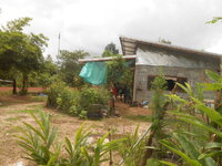 DSCN0887.JPG