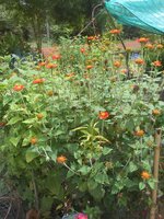DSCN0881~2.JPG