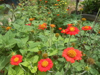 DSCN0882.JPG