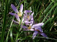 IMG-20240911-WA0012.jpg