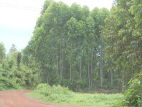 DSCN0910.JPG