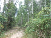 DSCN0890.JPG