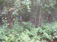 DSCN0892.JPG