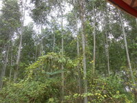 DSCN0891.JPG