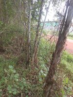 DSCN0933~2.JPG