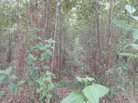 DSCN0934.JPG