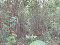DSCN0935.JPG