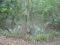 DSCN0940.JPG