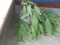 DSCN0898.JPG